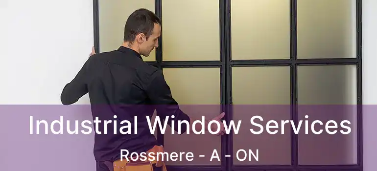  Industrial Window Services Rossmere - A - ON