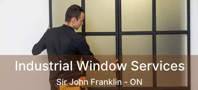  Industrial Window Services Sir John Franklin - ON