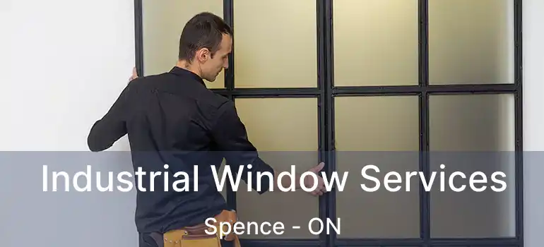 Industrial Window Services Spence - ON