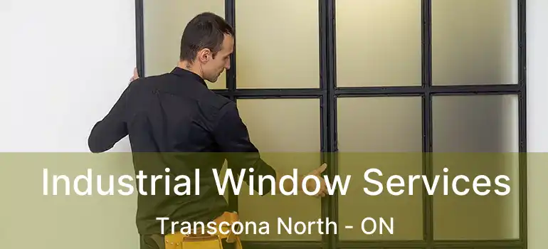  Industrial Window Services Transcona North - ON