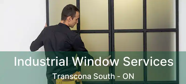  Industrial Window Services Transcona South - ON