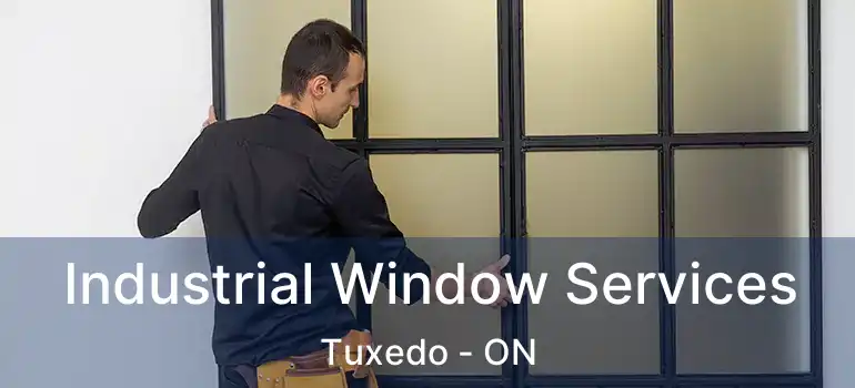  Industrial Window Services Tuxedo - ON