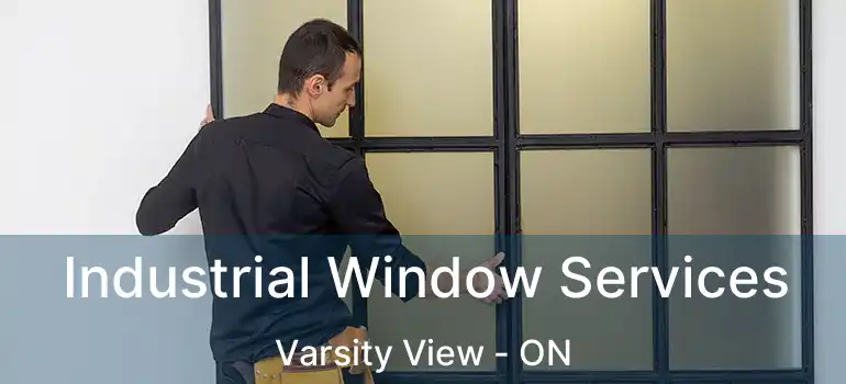  Industrial Window Services Varsity View - ON
