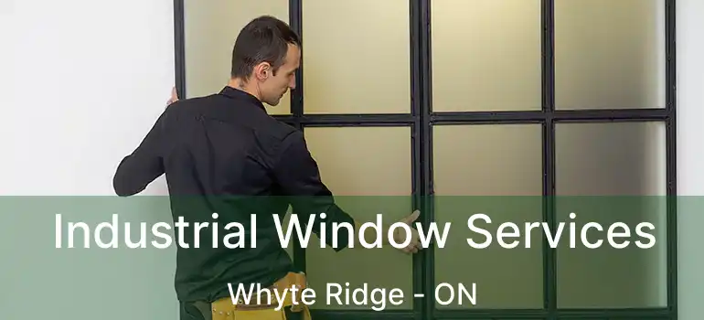  Industrial Window Services Whyte Ridge - ON