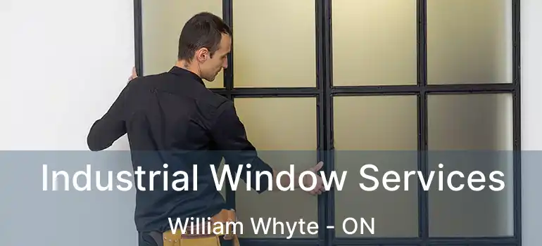  Industrial Window Services William Whyte - ON