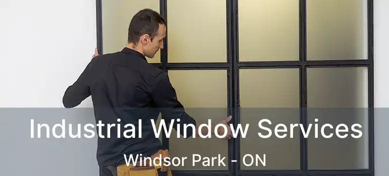  Industrial Window Services Windsor Park - ON