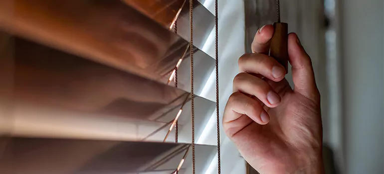 Double Roller Blinds in Portage and Main, Ontario