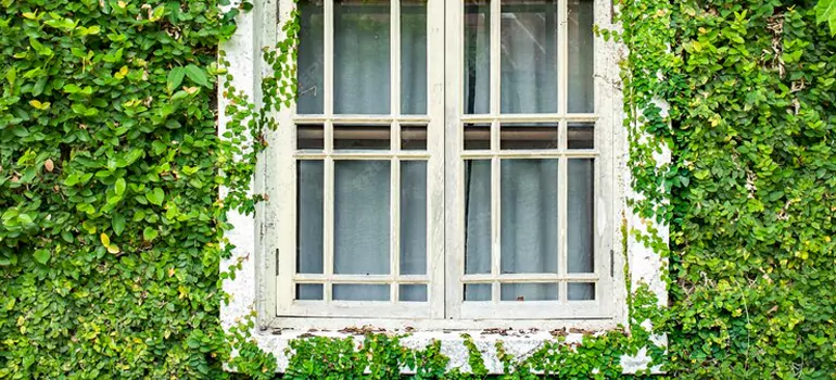 Garden Window Repair Near Me in Mission Industrial, ON