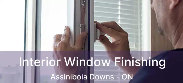 Interior Window Finishing Assiniboia Downs - ON