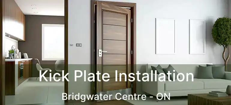  Kick Plate Installation Bridgwater Centre - ON