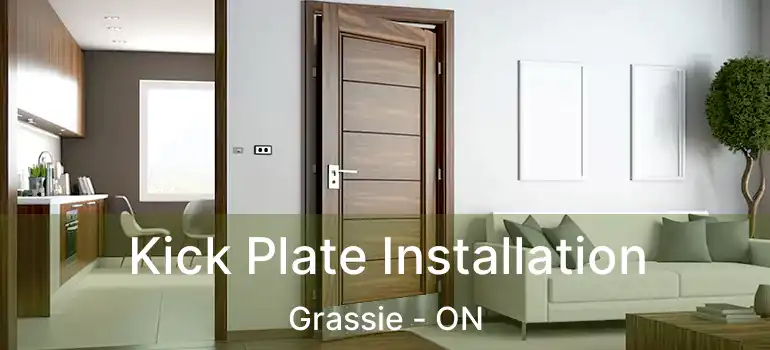  Kick Plate Installation Grassie - ON