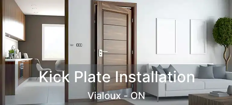  Kick Plate Installation Vialoux - ON