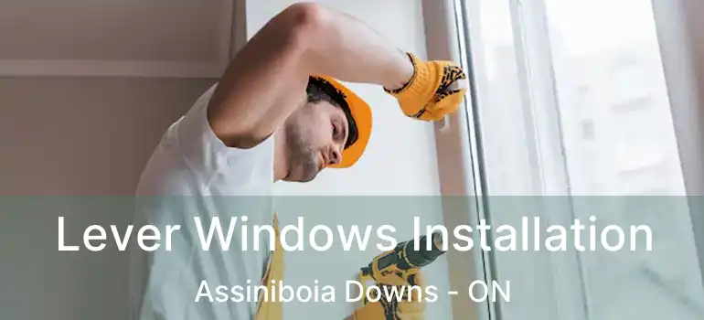  Lever Windows Installation Assiniboia Downs - ON