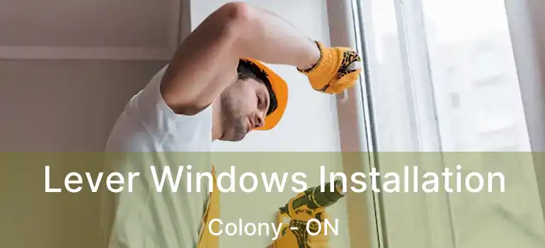  Lever Windows Installation Colony - ON