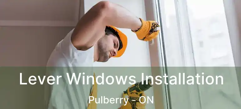  Lever Windows Installation Pulberry - ON