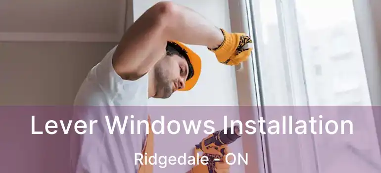  Lever Windows Installation Ridgedale - ON