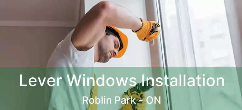  Lever Windows Installation Roblin Park - ON