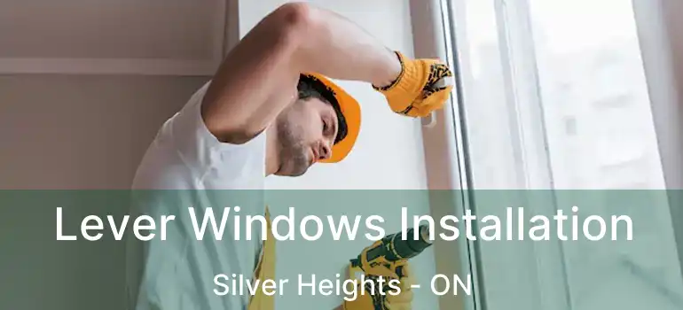  Lever Windows Installation Silver Heights - ON