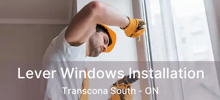  Lever Windows Installation Transcona South - ON