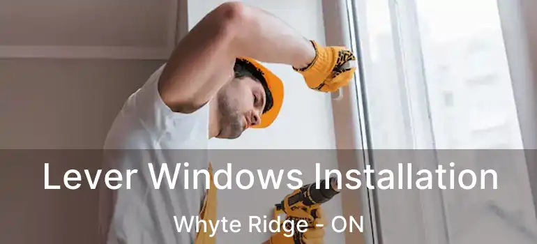  Lever Windows Installation Whyte Ridge - ON