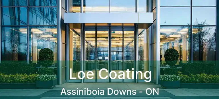  Loe Coating Assiniboia Downs - ON