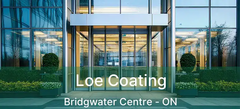  Loe Coating Bridgwater Centre - ON