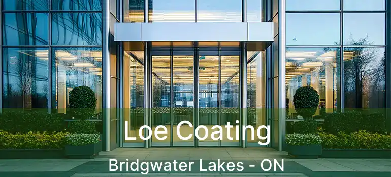  Loe Coating Bridgwater Lakes - ON