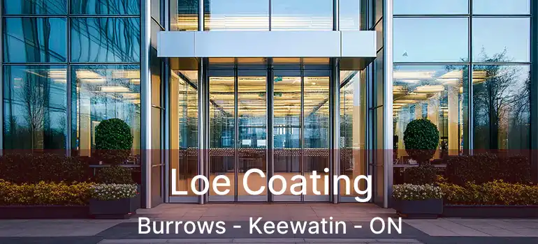  Loe Coating Burrows - Keewatin - ON