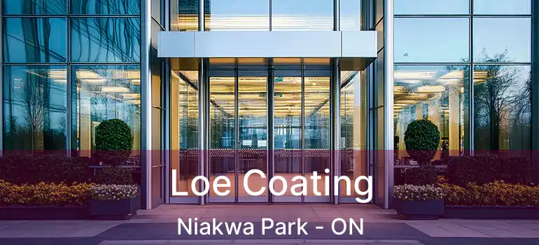  Loe Coating Niakwa Park - ON