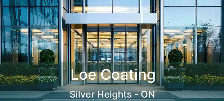  Loe Coating Silver Heights - ON