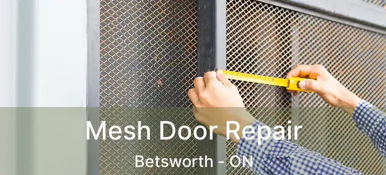  Mesh Door Repair Betsworth - ON