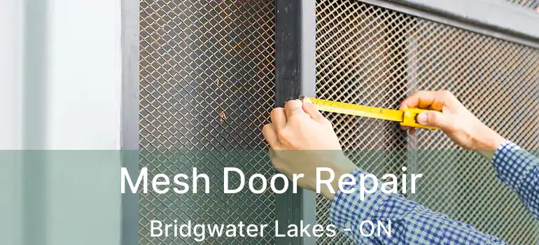 Mesh Door Repair Bridgwater Lakes - ON