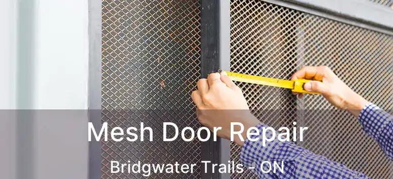  Mesh Door Repair Bridgwater Trails - ON