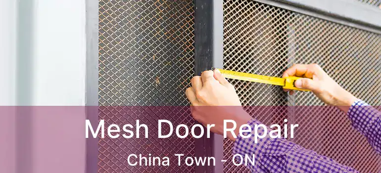  Mesh Door Repair China Town - ON