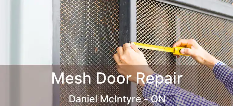  Mesh Door Repair Daniel McIntyre - ON