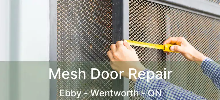  Mesh Door Repair Ebby - Wentworth - ON