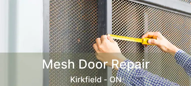  Mesh Door Repair Kirkfield - ON