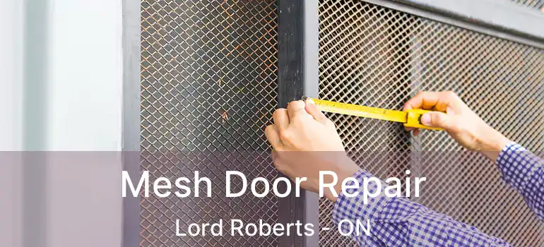  Mesh Door Repair Lord Roberts - ON