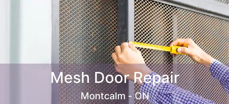  Mesh Door Repair Montcalm - ON
