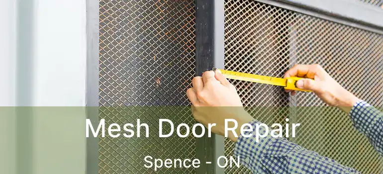  Mesh Door Repair Spence - ON