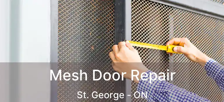 Mesh Door Repair St. George - ON