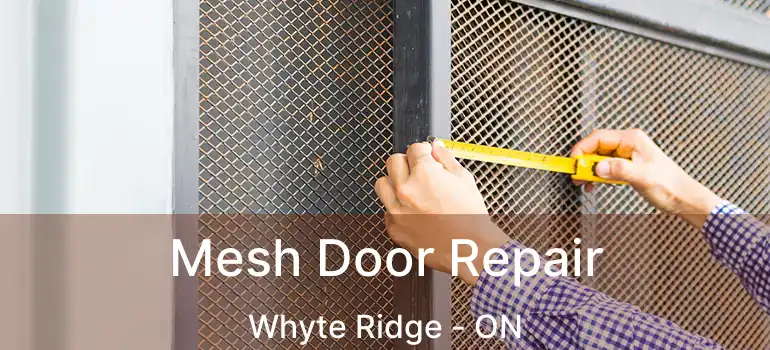  Mesh Door Repair Whyte Ridge - ON