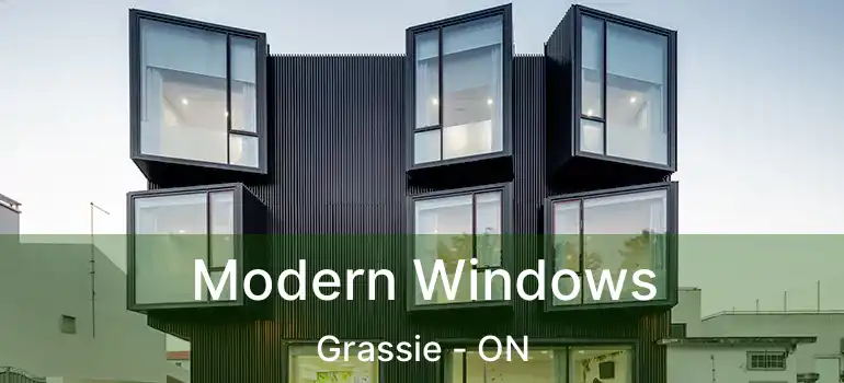  Modern Windows Grassie - ON