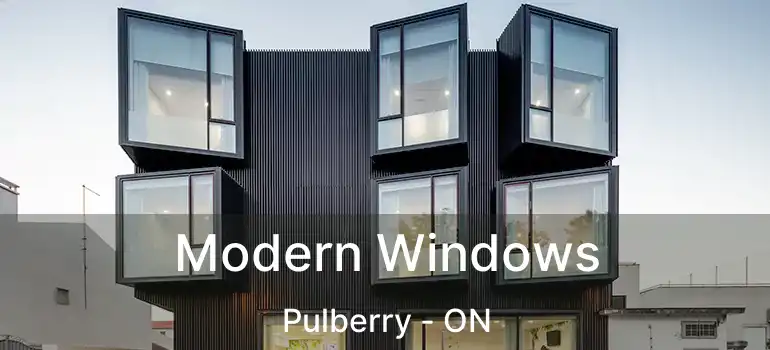  Modern Windows Pulberry - ON