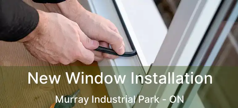  New Window Installation Murray Industrial Park - ON
