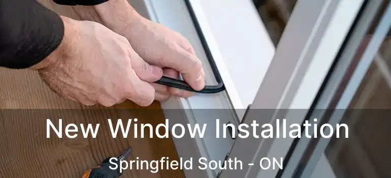  New Window Installation Springfield South - ON