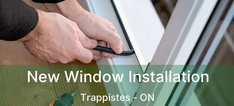  New Window Installation Trappistes - ON