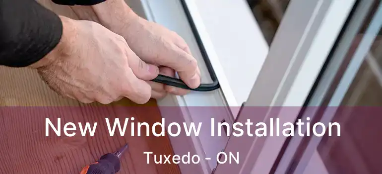  New Window Installation Tuxedo - ON