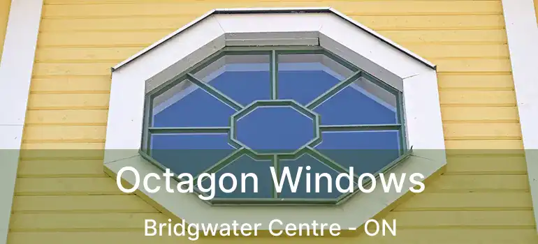  Octagon Windows Bridgwater Centre - ON