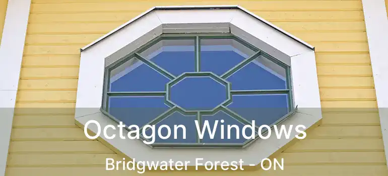  Octagon Windows Bridgwater Forest - ON